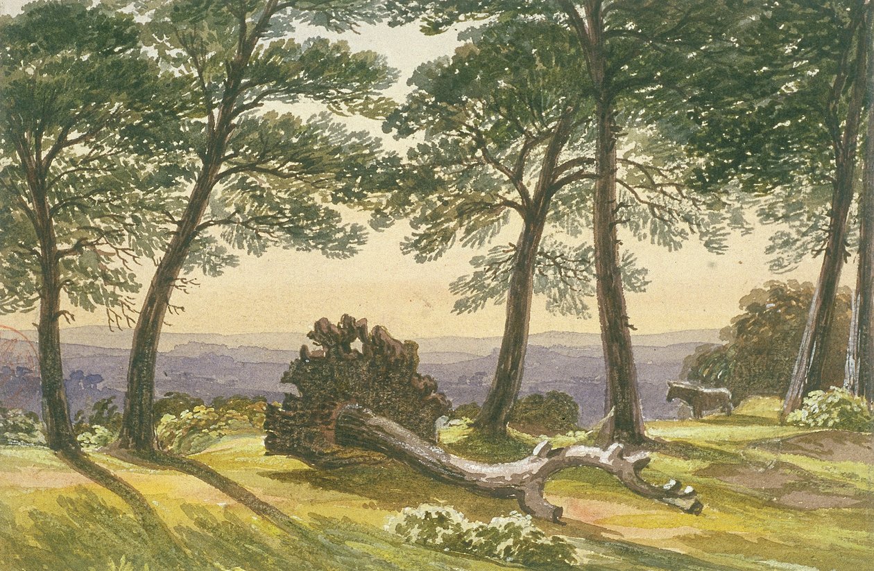 Hampstead Heath, London, ca. 1830 von J Powell