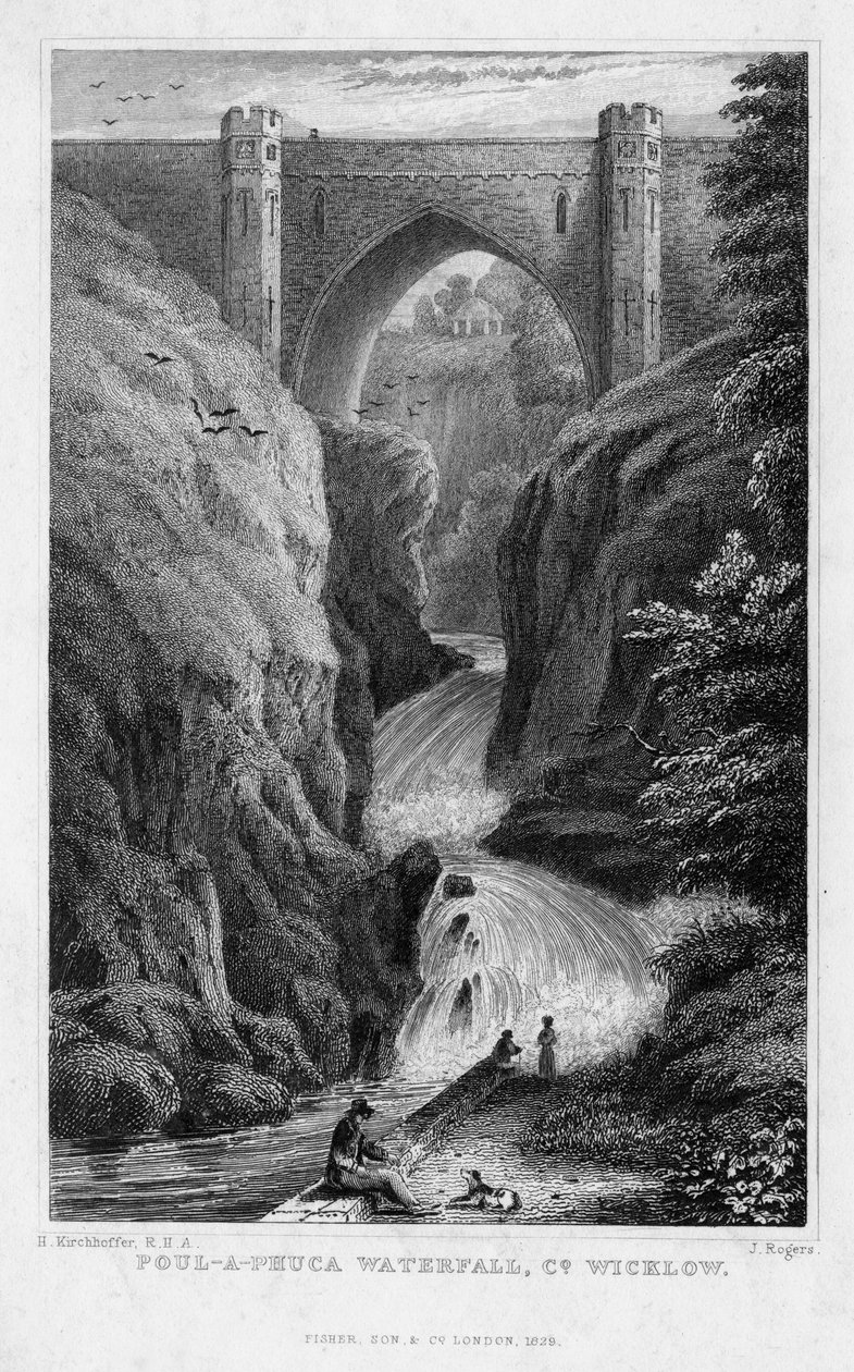 Poul a Phuca Wasserfall, County Wicklow, 1829 von J. Rogers