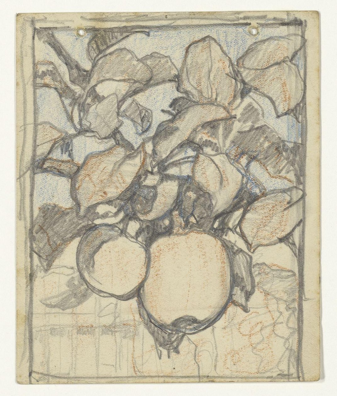 Kaiser-Alexander-Äpfel von Jac van Looij