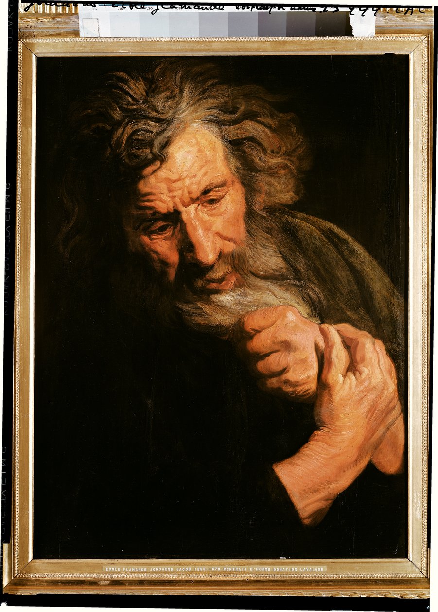 Porträt eines Mannes von Jacob Jordaens