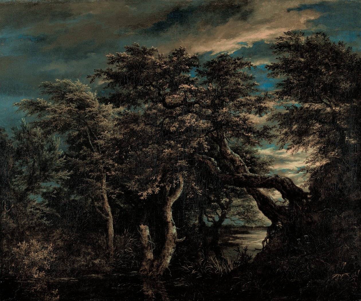 Ein Sumpf im Wald bei Dämmerung von Jacob van Ruisdael
