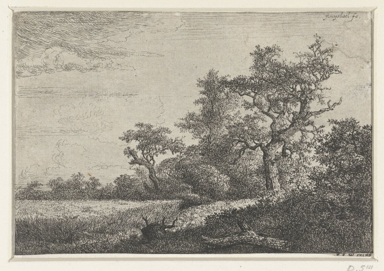 Das Kornfeld von Jacob van Ruisdael