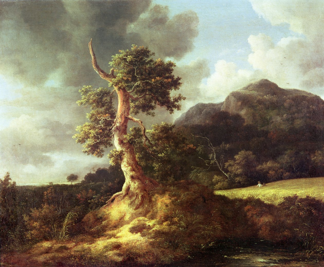 Unbekanntes Bild von Jacob van Ruisdael