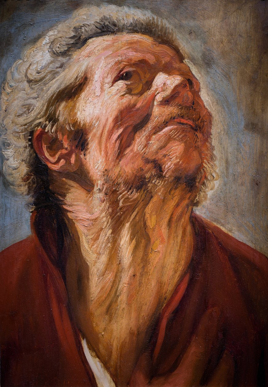 Studienkopf von Jacob Jordaens