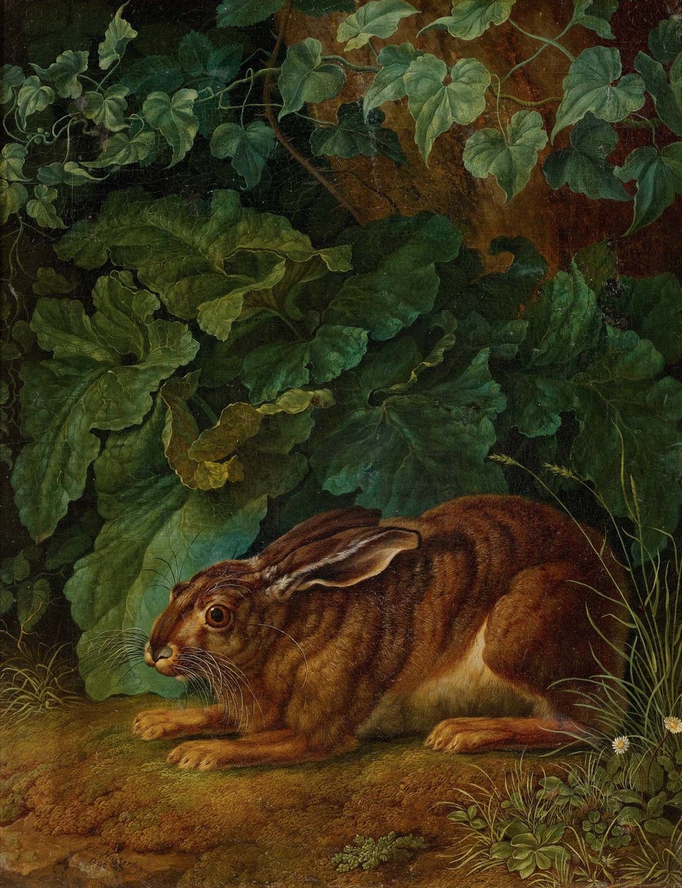 Hase im Gebüsch von Jacob Philipp Hackert