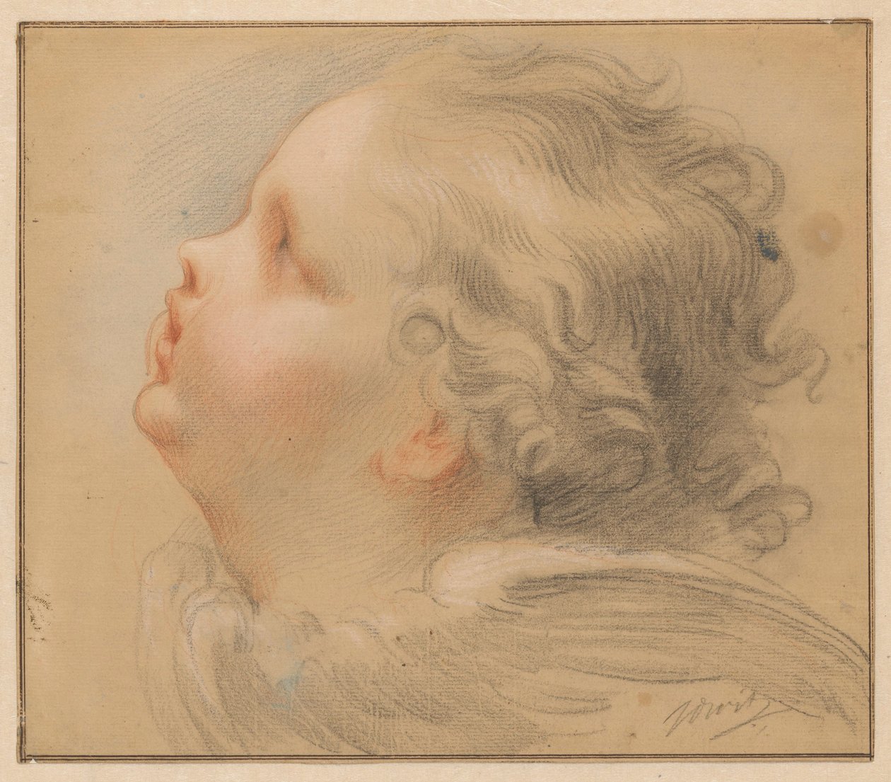 Kopf eines Cherubs, nach links von Jacob de Wit