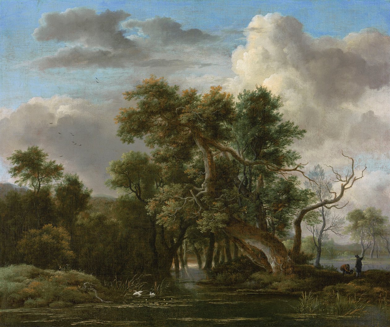 Ein Waldteich von Jacob van Ruisdael