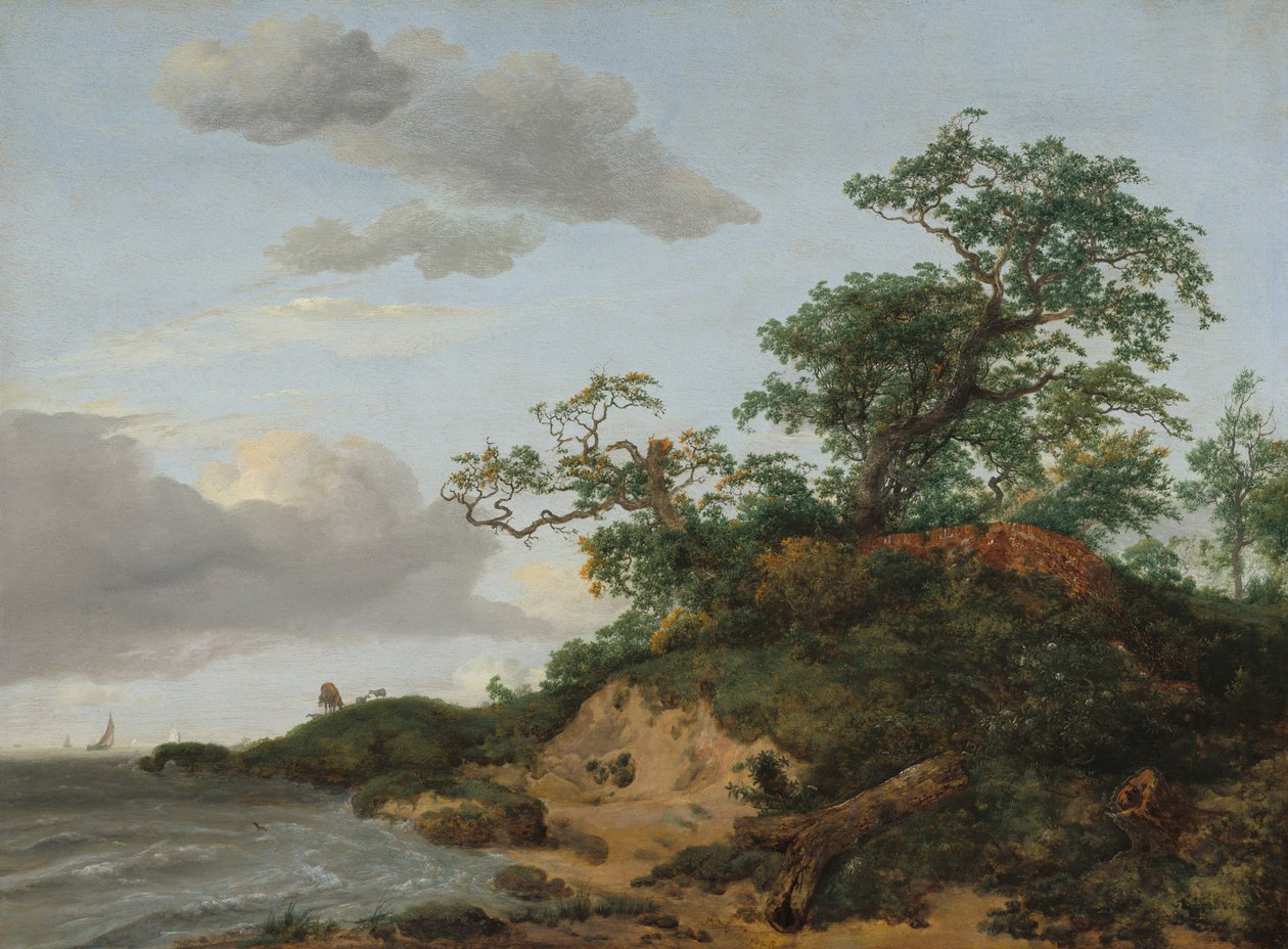 Dünen am Meer, 1648 von Jacob van Ruisdael