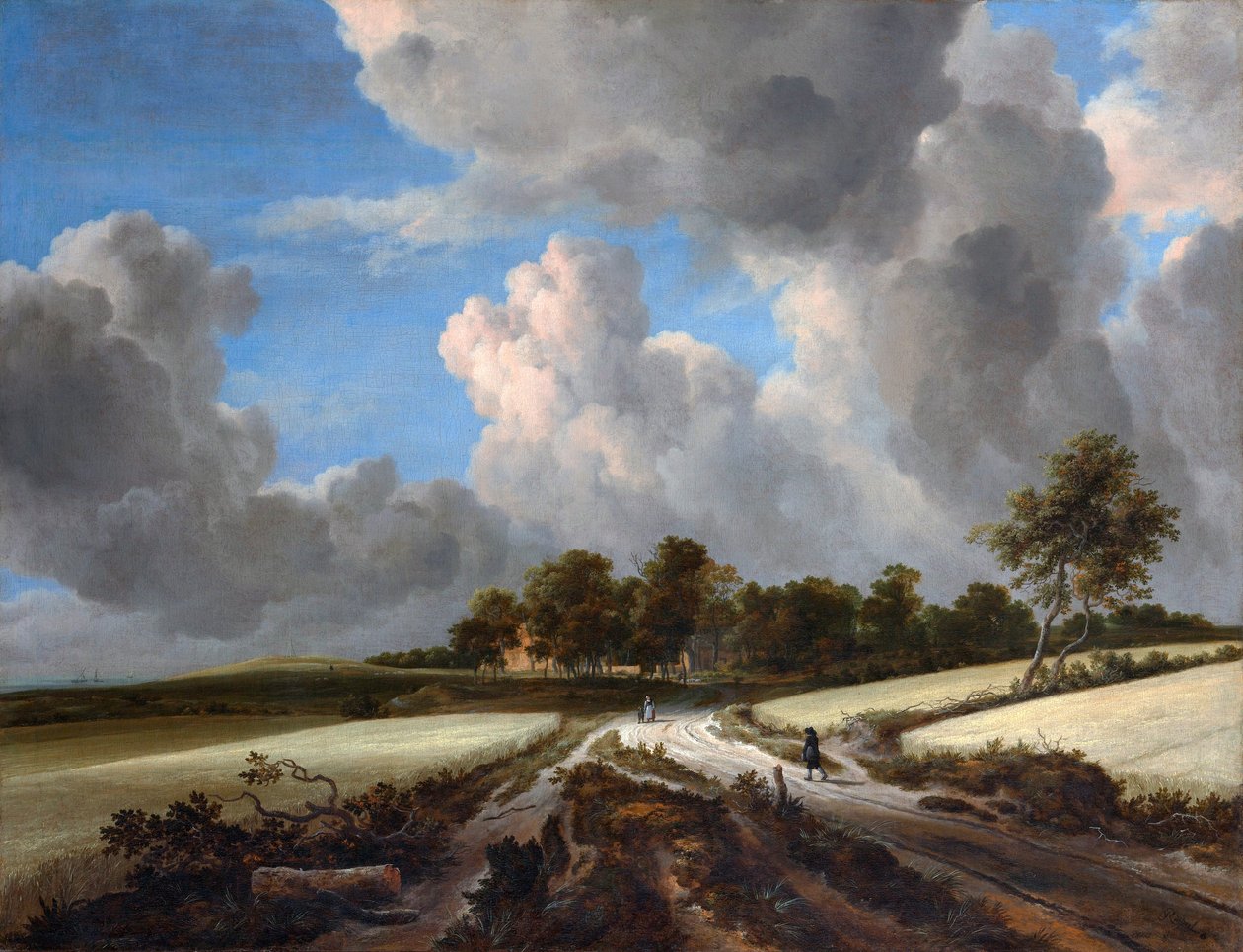 Weizenfelder von Jacob van Ruisdael