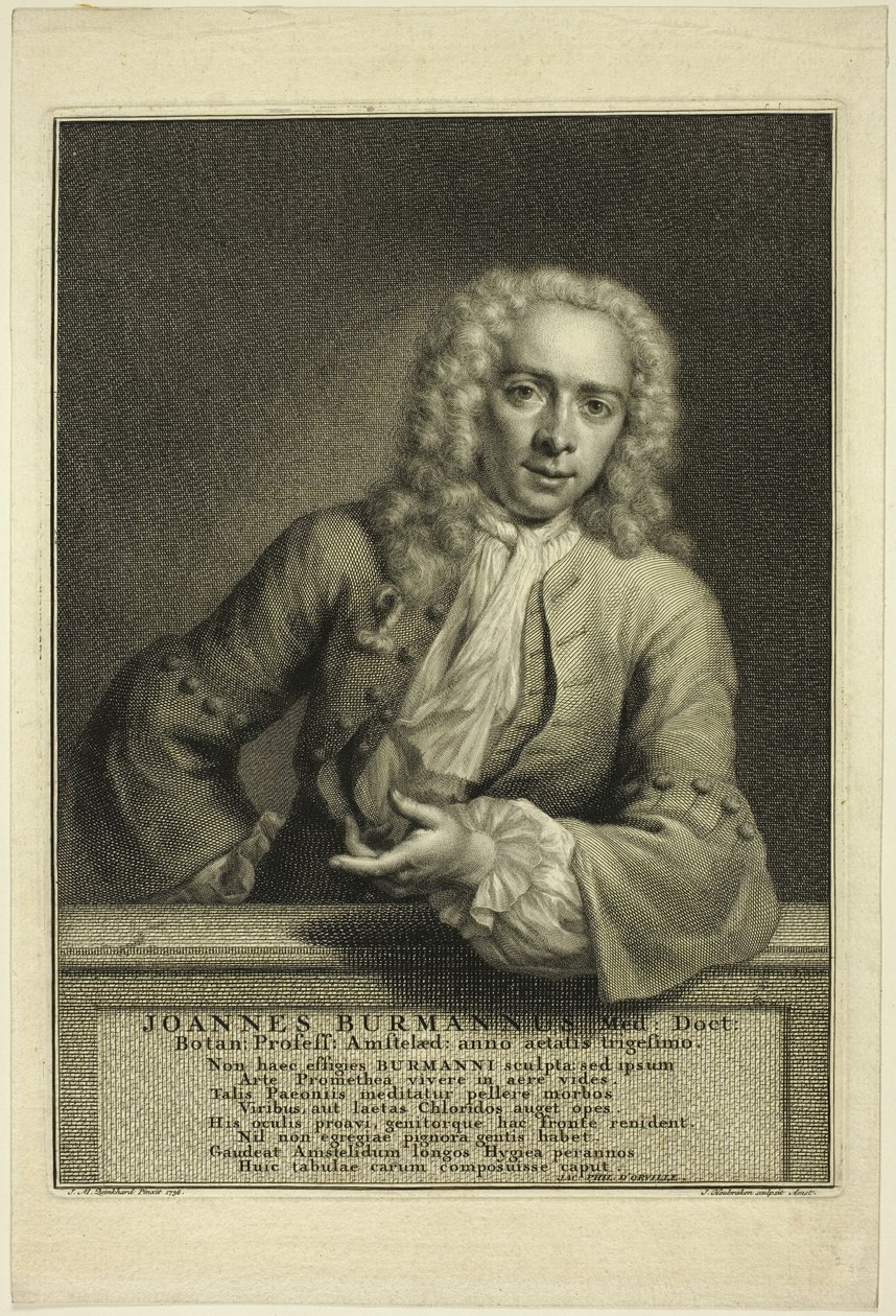 J. Burmannus von Jacobus Houbraken