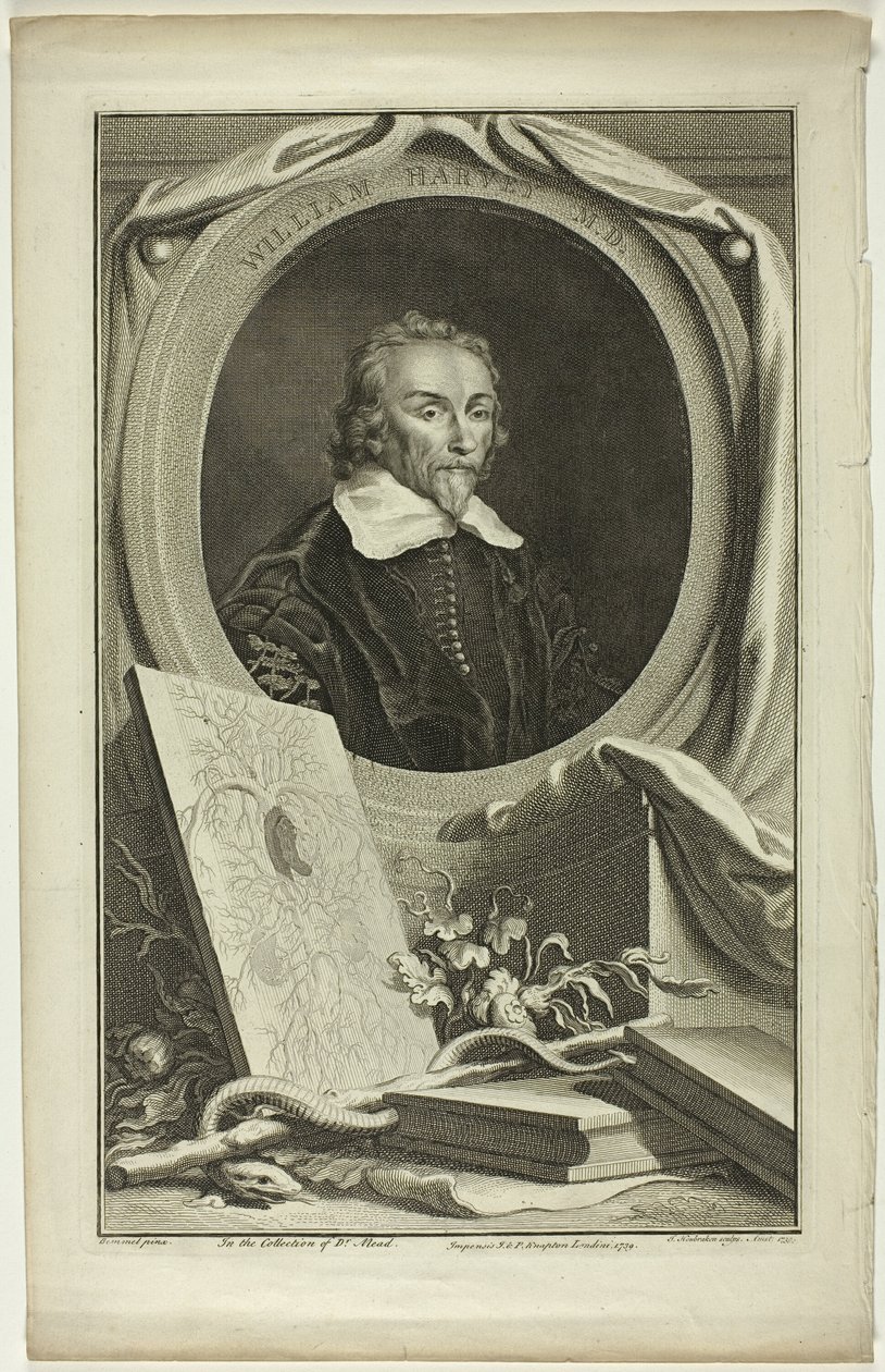 William Harvey, M.D. von Jacobus Houbraken