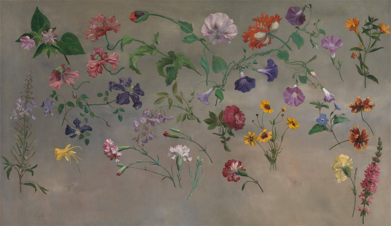 Blumenstudien von Jacques Laurent Agasse