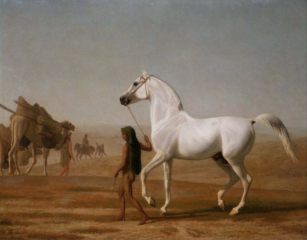 Der Wellesley Grey Araber durch die Wüste geführt von Jacques Laurent Agasse