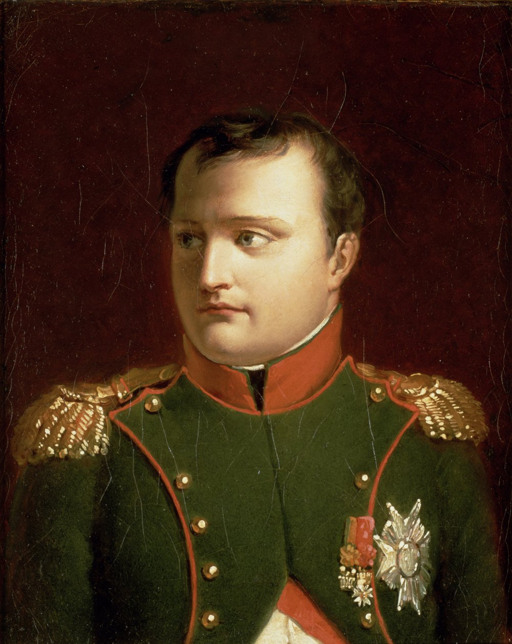 Napoleon Bonaparte (1769-1821) von Jacques Louis David