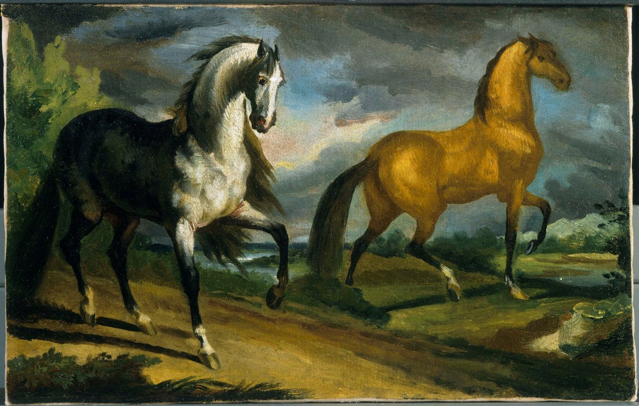 Zwei Pferde von Jacques Louis David