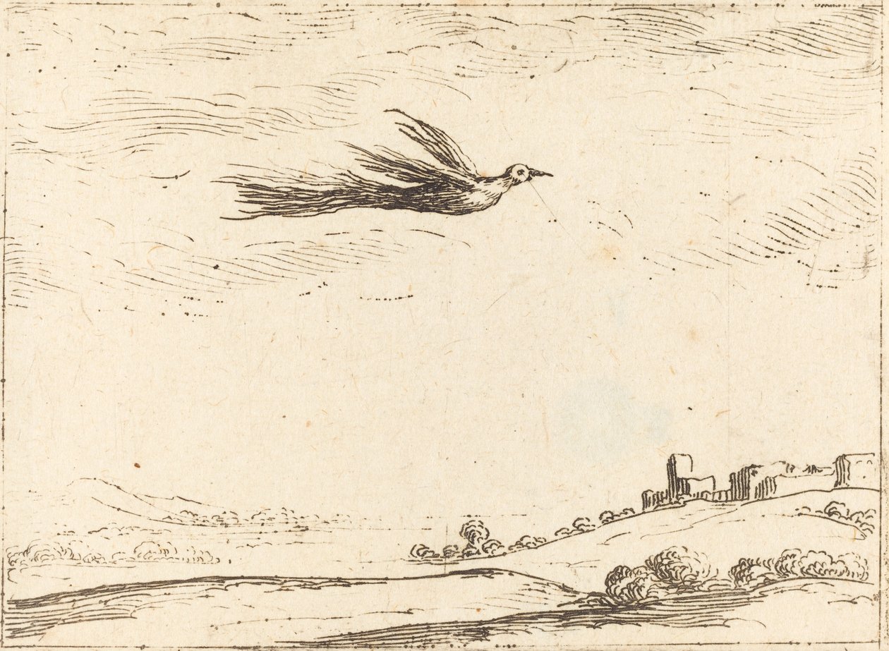 Paradiesvogel von Jacques Callot