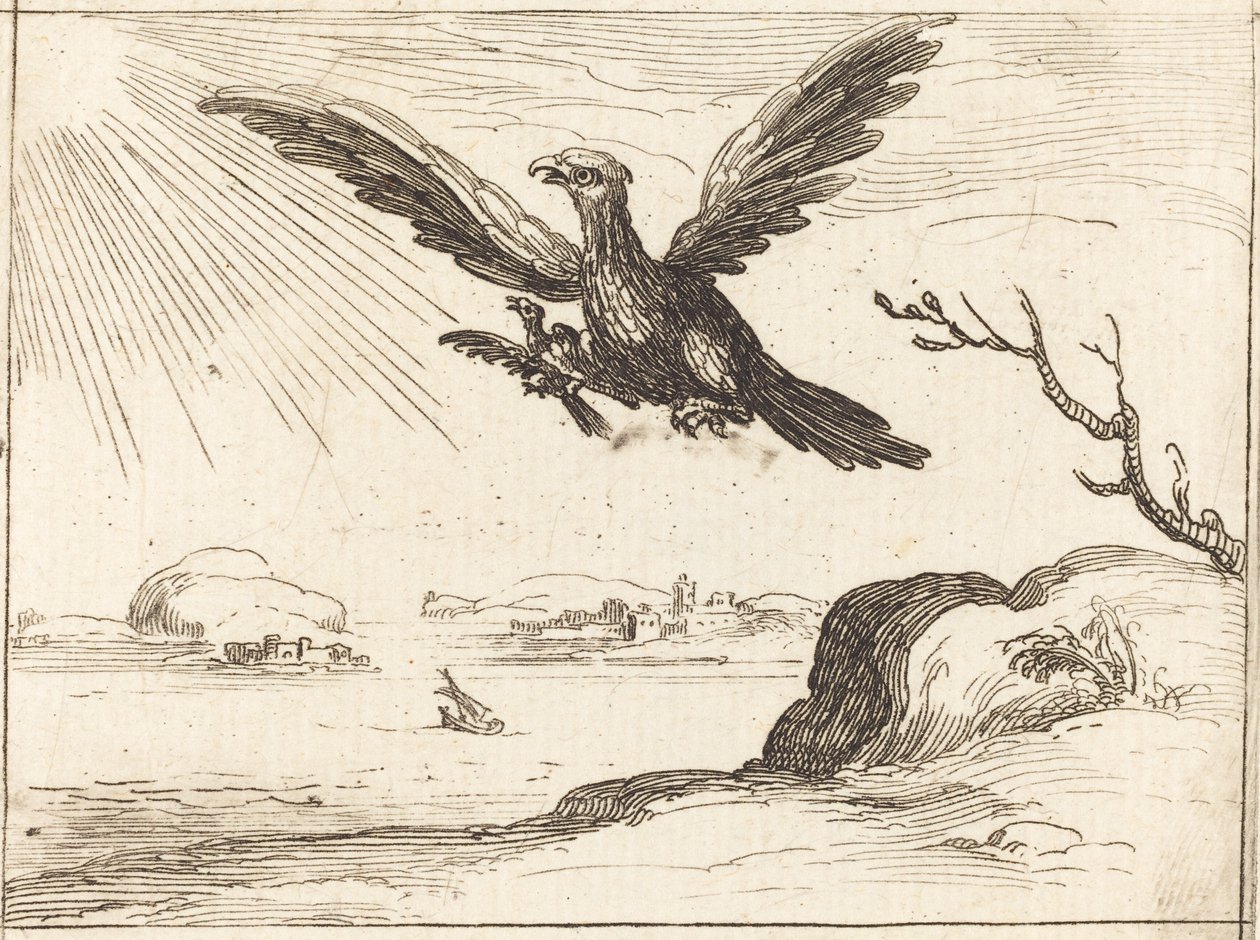Adler und Junges von Jacques Callot