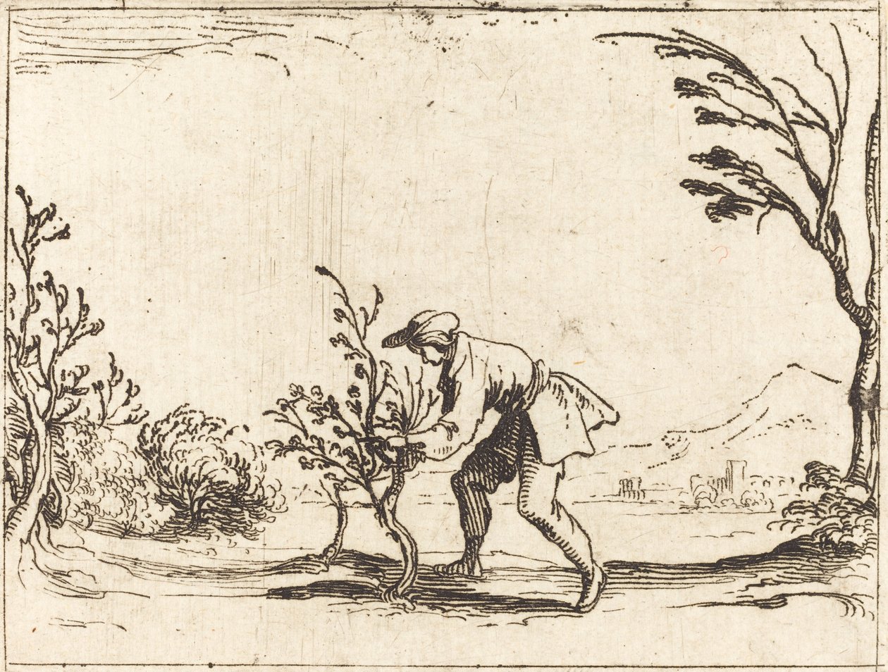 Mann, der einen Balsambaum schneidet von Jacques Callot