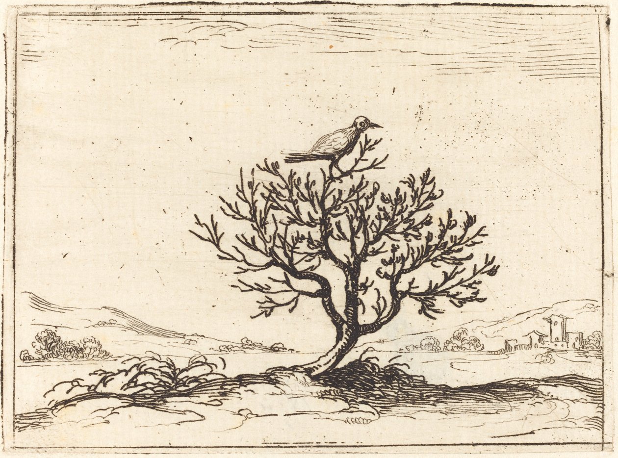 Nachtigall in einem Busch, 1628 von Jacques Callot
