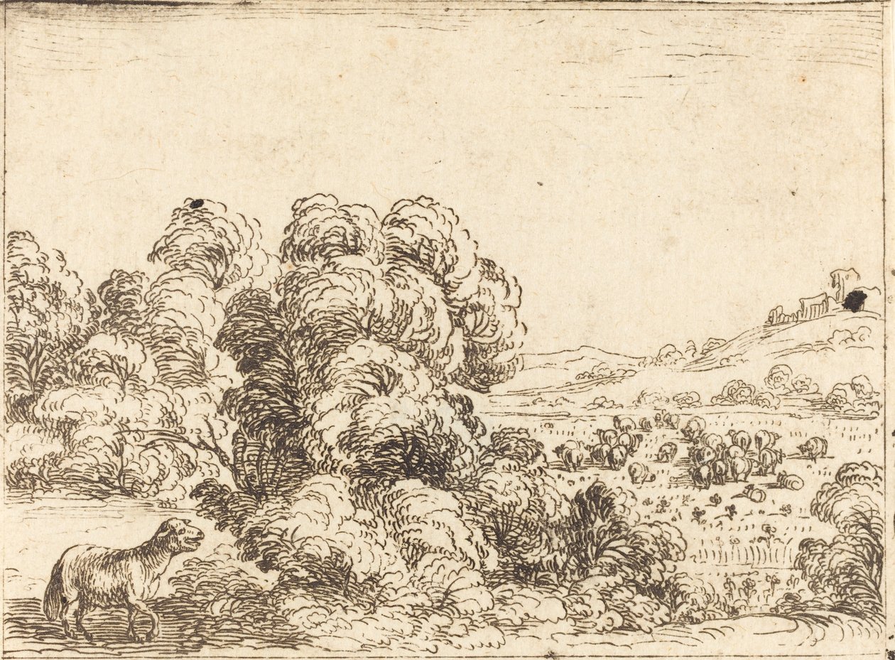 Schaf ruft Lamm von Jacques Callot