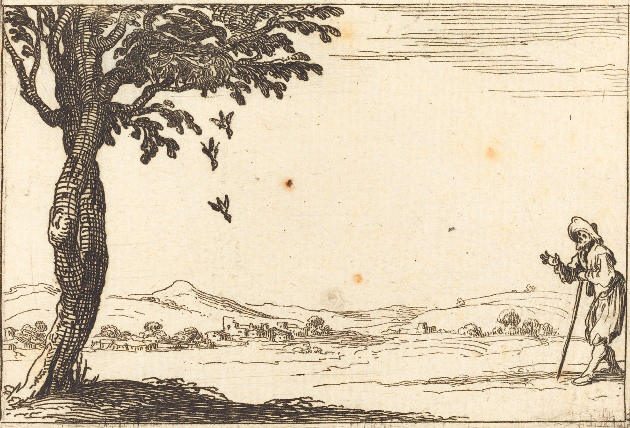 Die Krähe und ihre Jungen von Jacques Callot