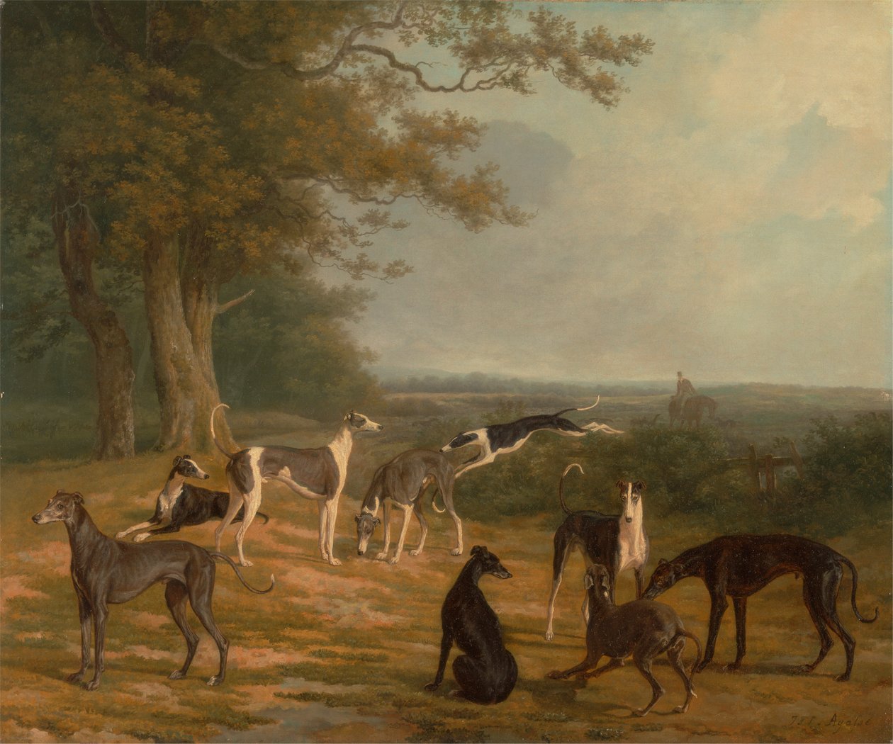 Neun Windhunde in einer Landschaft von Jacques Laurent Agasse