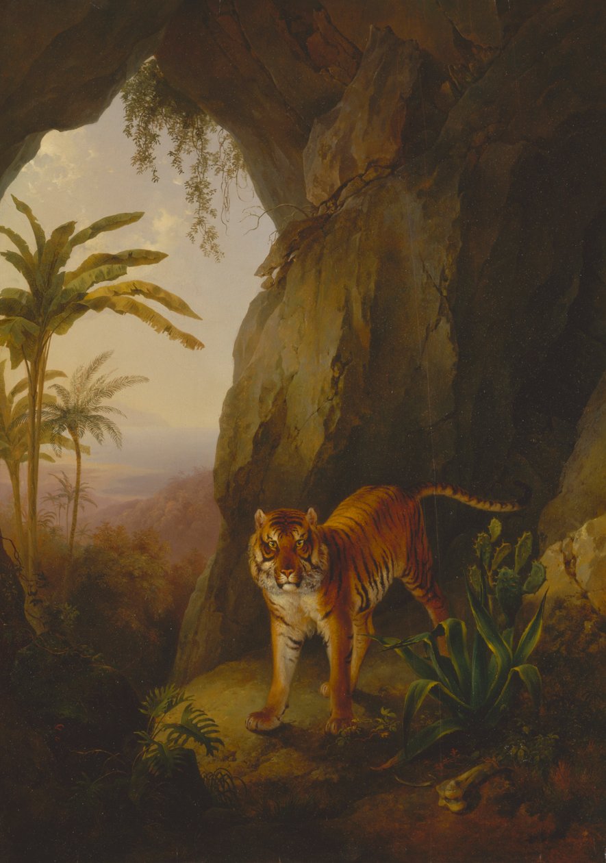 Tiger in einer Höhle von Jacques Laurent Agasse