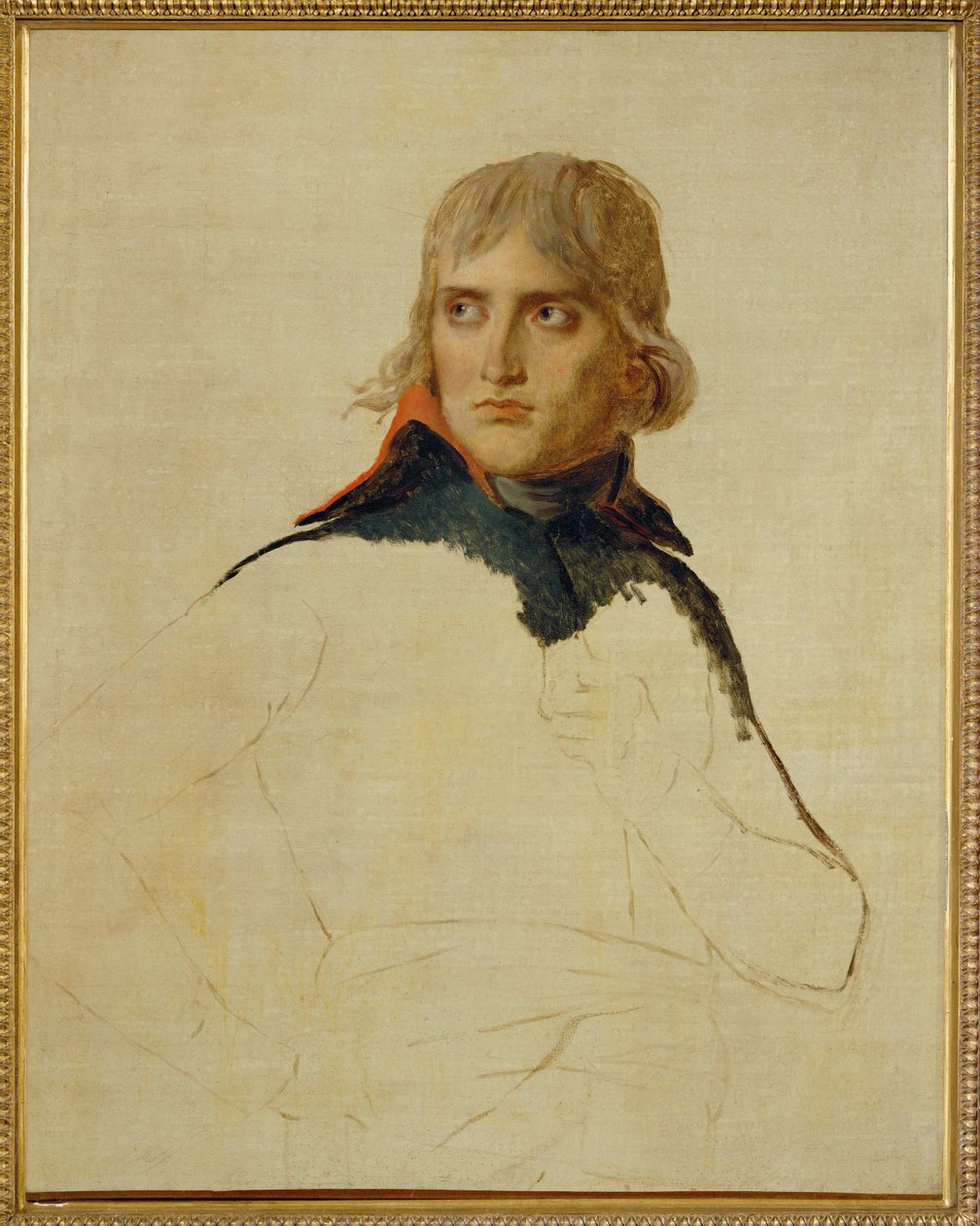 Napoleon Bonaparte von Jacques Louis David