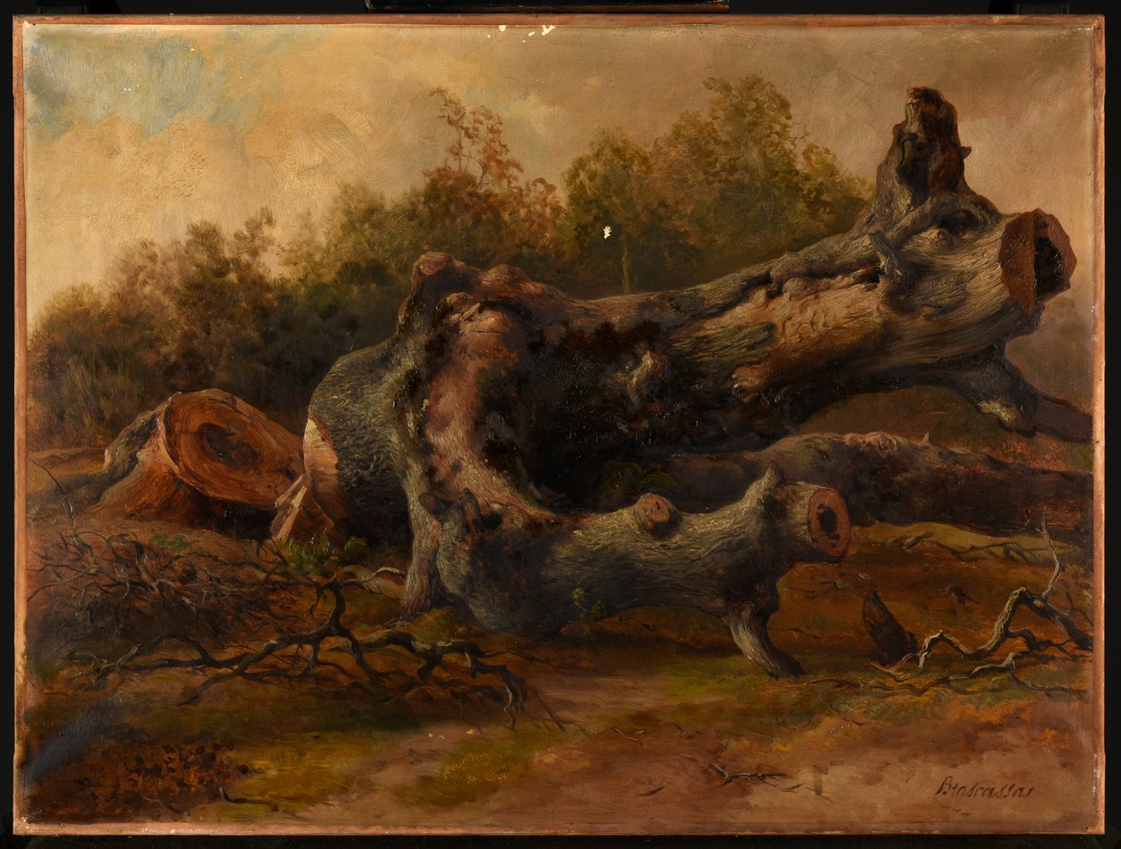 Gefällter Baum von Jacques Raymond Brascassat