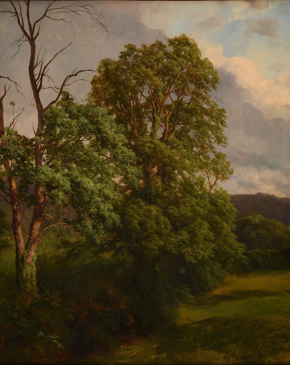 Die Eichen von Jacques Raymond Brascassat