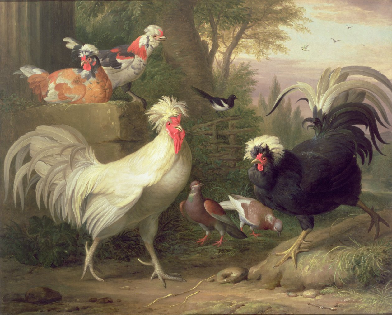 Hähne und Tauben von Jakob Bogdani or Bogdany