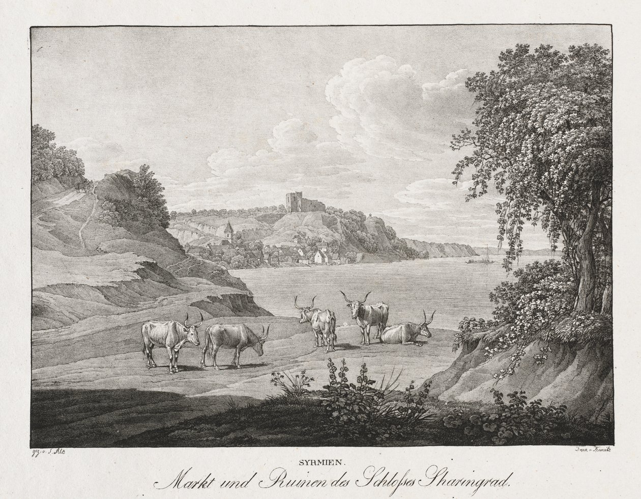 Syrmien, Markt und Ruinen des Schlosses Sharengrad von Jakob Alt