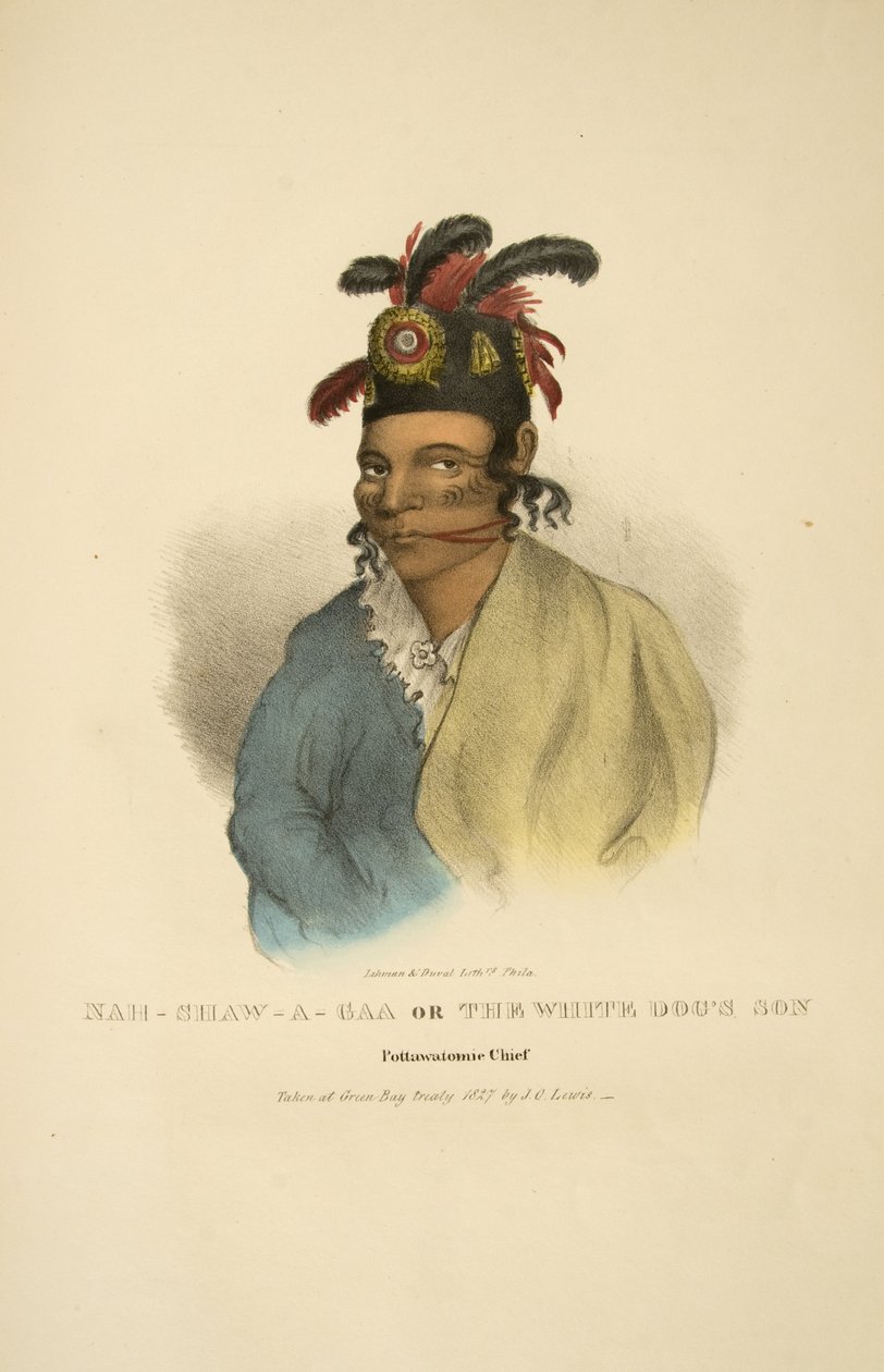 Nah-shaw-a-gaa oder Der Sohn der Weißen Hunde von James Otto Lewis