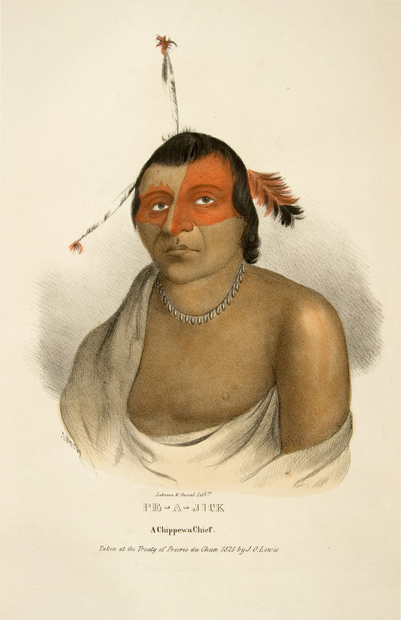 Pe-a-jick von James Otto Lewis