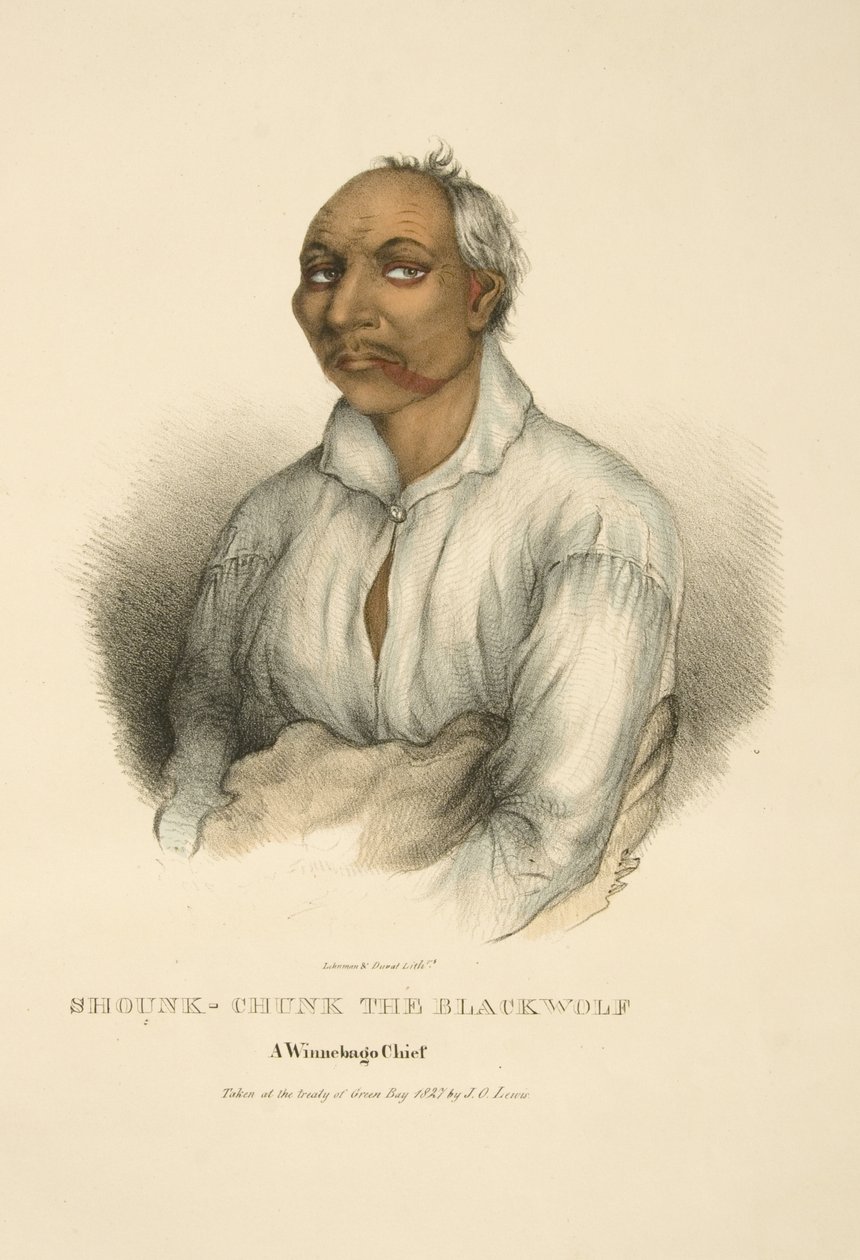 Shounk-chunk Der Schwarzwolf von James Otto Lewis