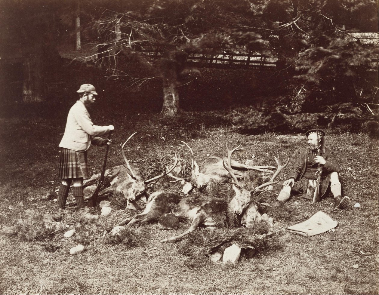 Warten auf die Ponys von James Valentine