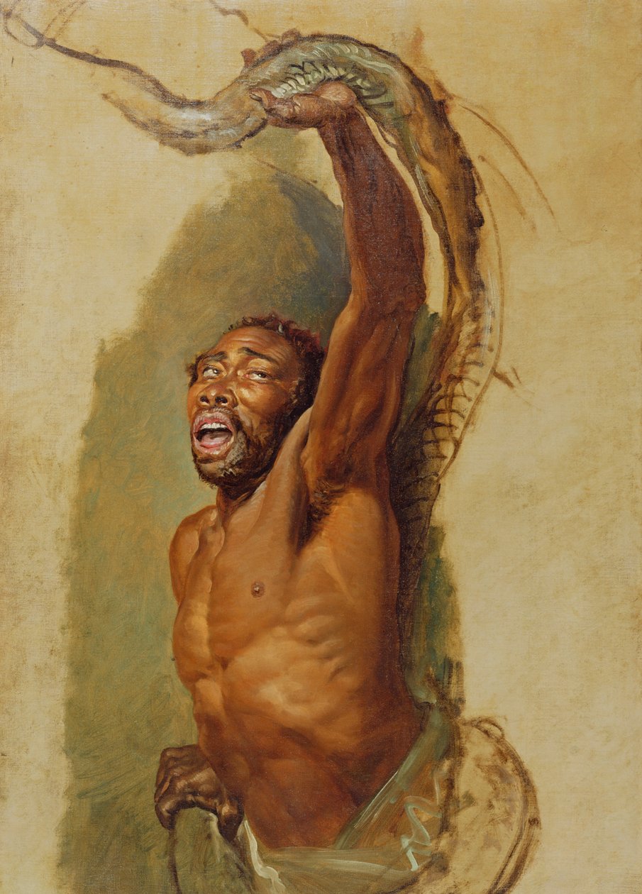 Mann kämpft mit einer Boa Constrictor, Studie für 