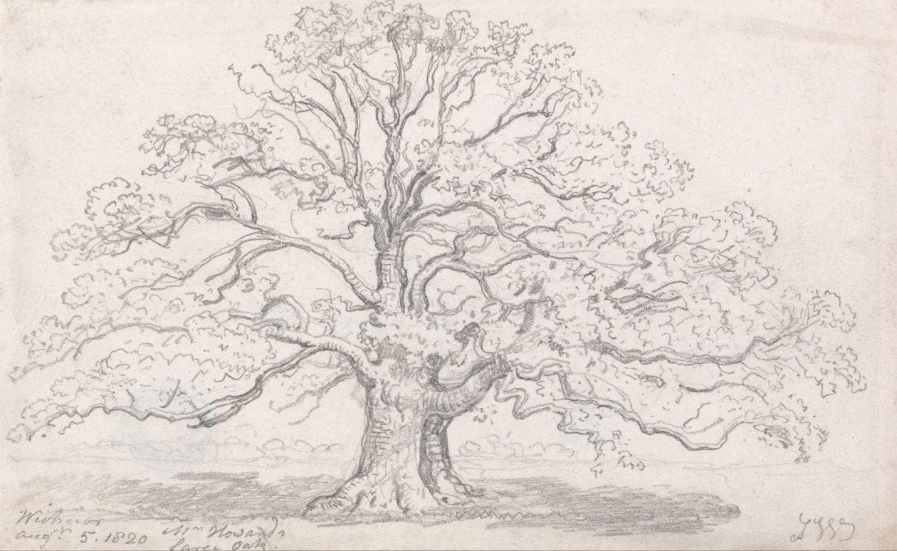 Mr. Howards große Eiche, 5. August 1820 von James Ward