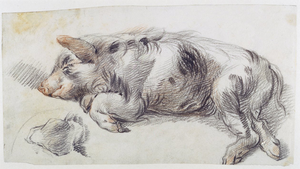Schlafendes Schwein von James Ward