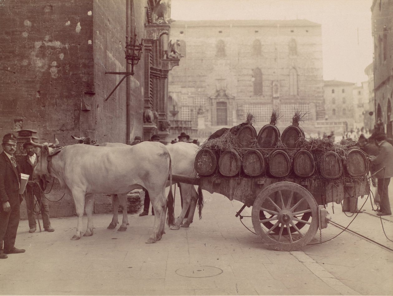 Wagen mit Ochsen, Perugia, 1880er Jahre von James Anderson