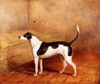 Der Hund 