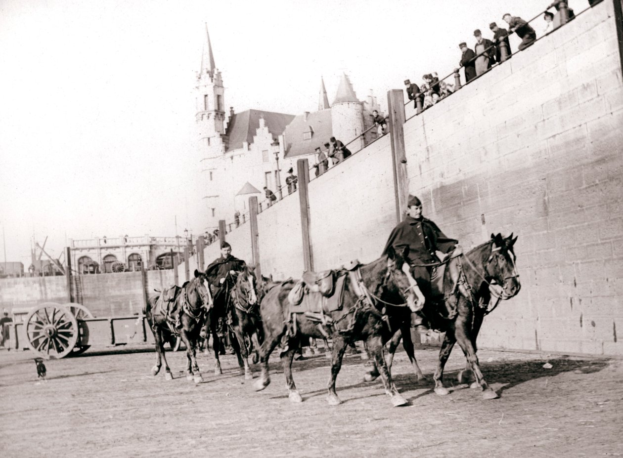Reiter, Antwerpen, 1898 von James Batkin