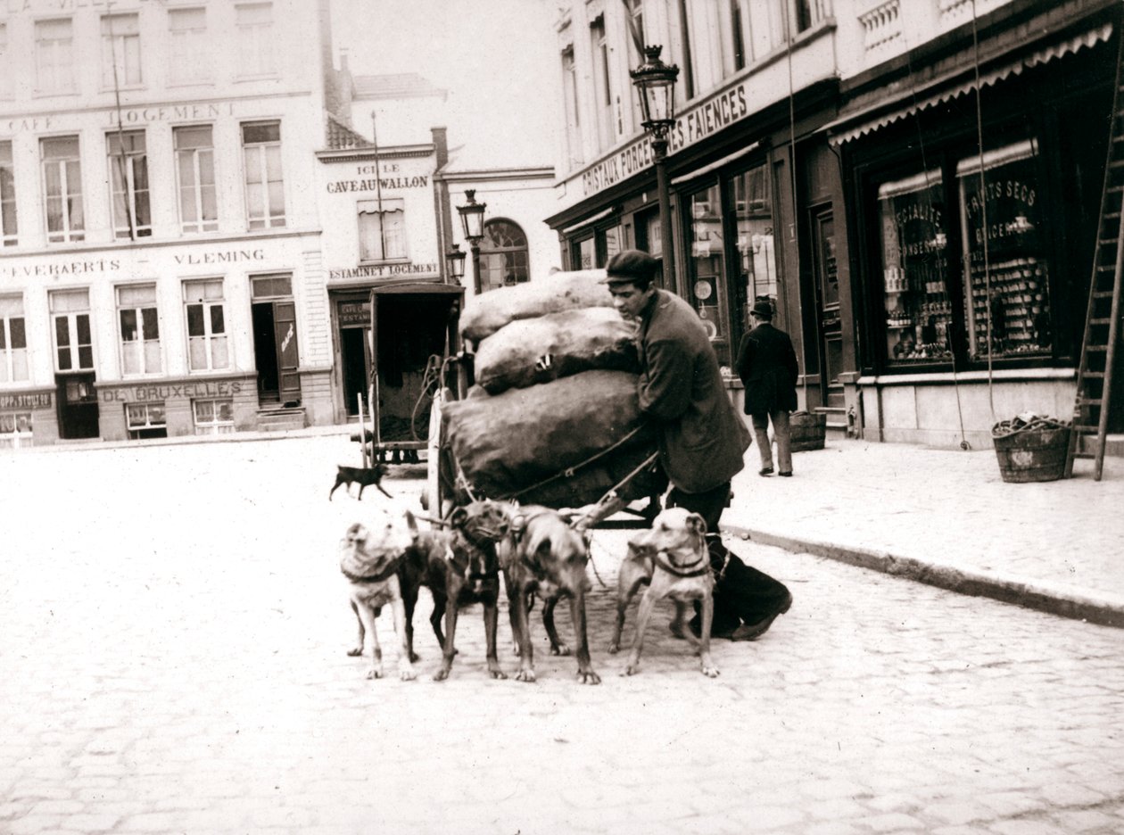 Mann mit Hundekarren, Antwerpen, 1898 von James Batkin