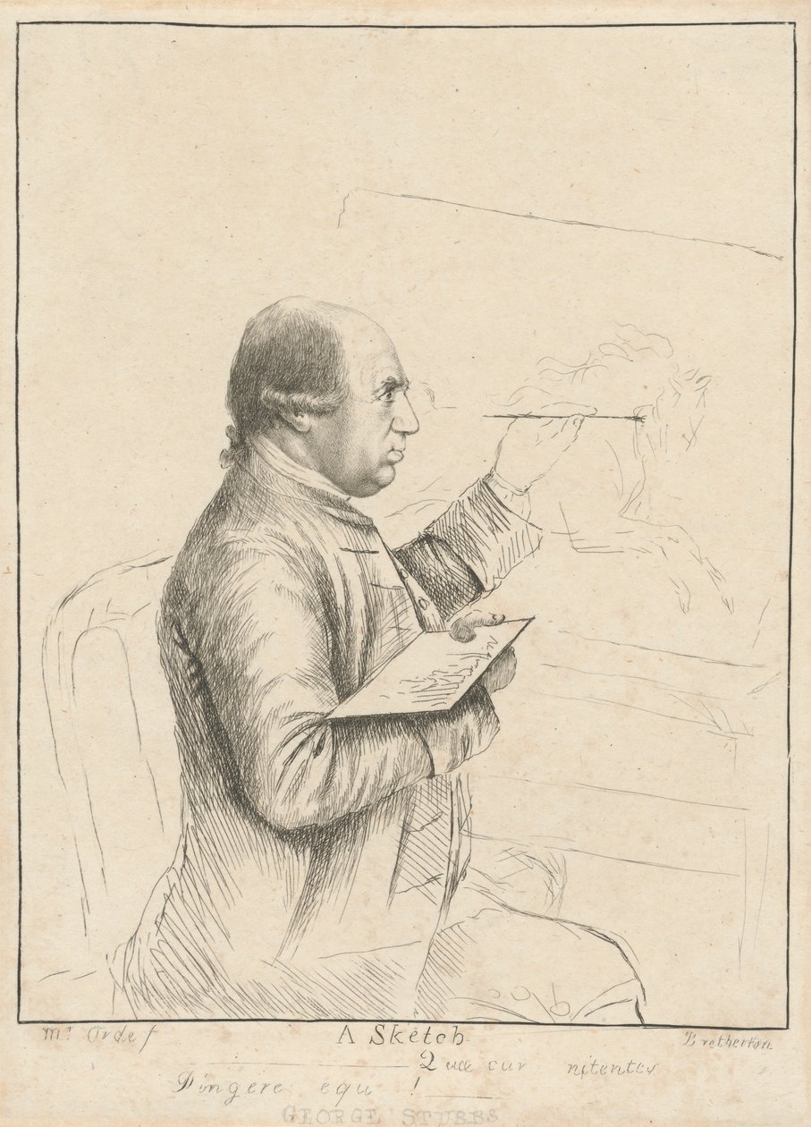 George Stubbs: Eine Skizze von James Bretherton