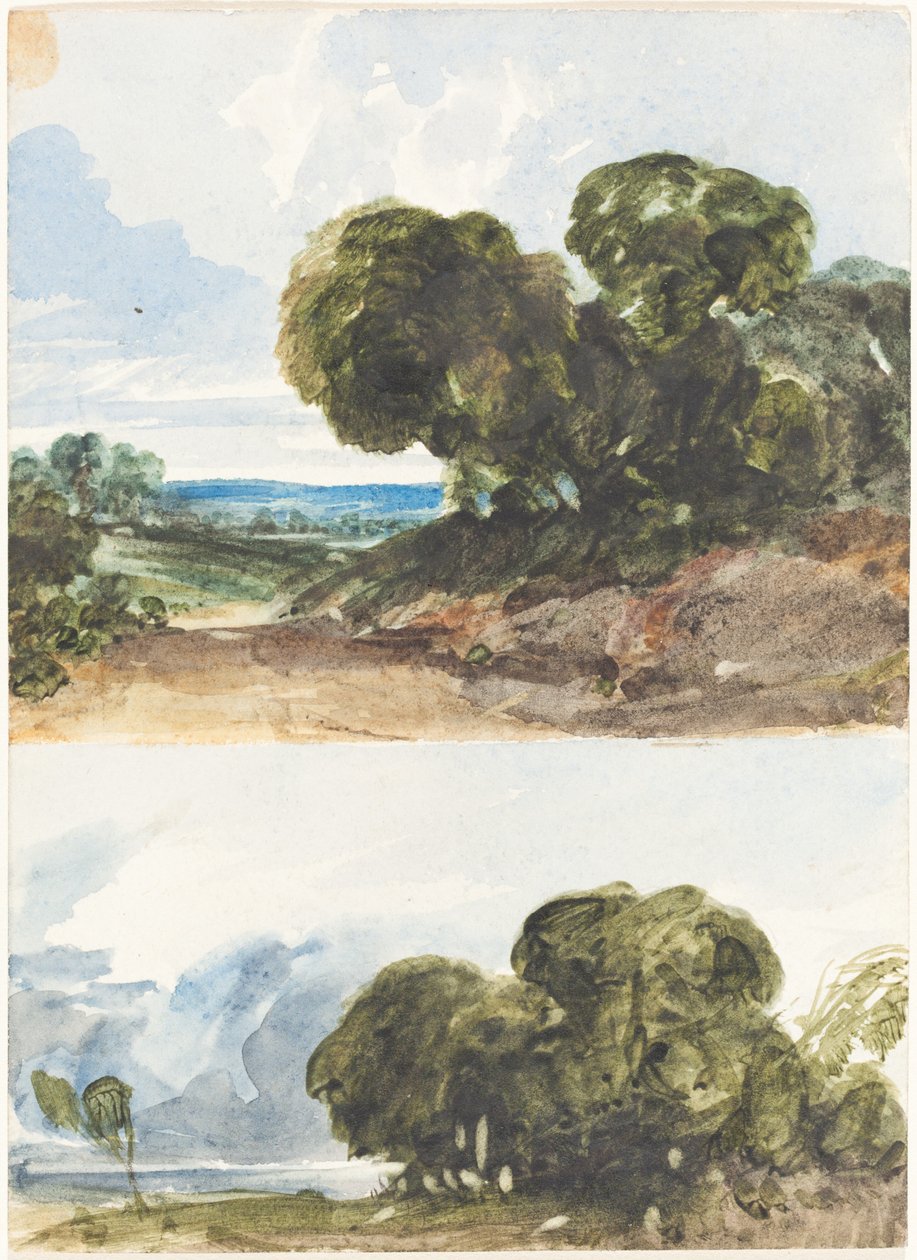 Zwei Skizzen von Bäumen von James Bulwer