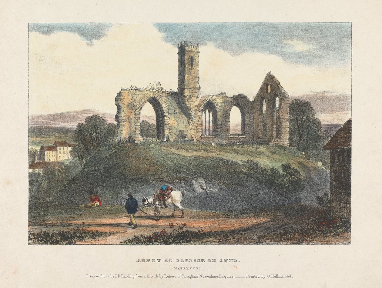 Abtei in Carrick on Suir von James Duffield Harding