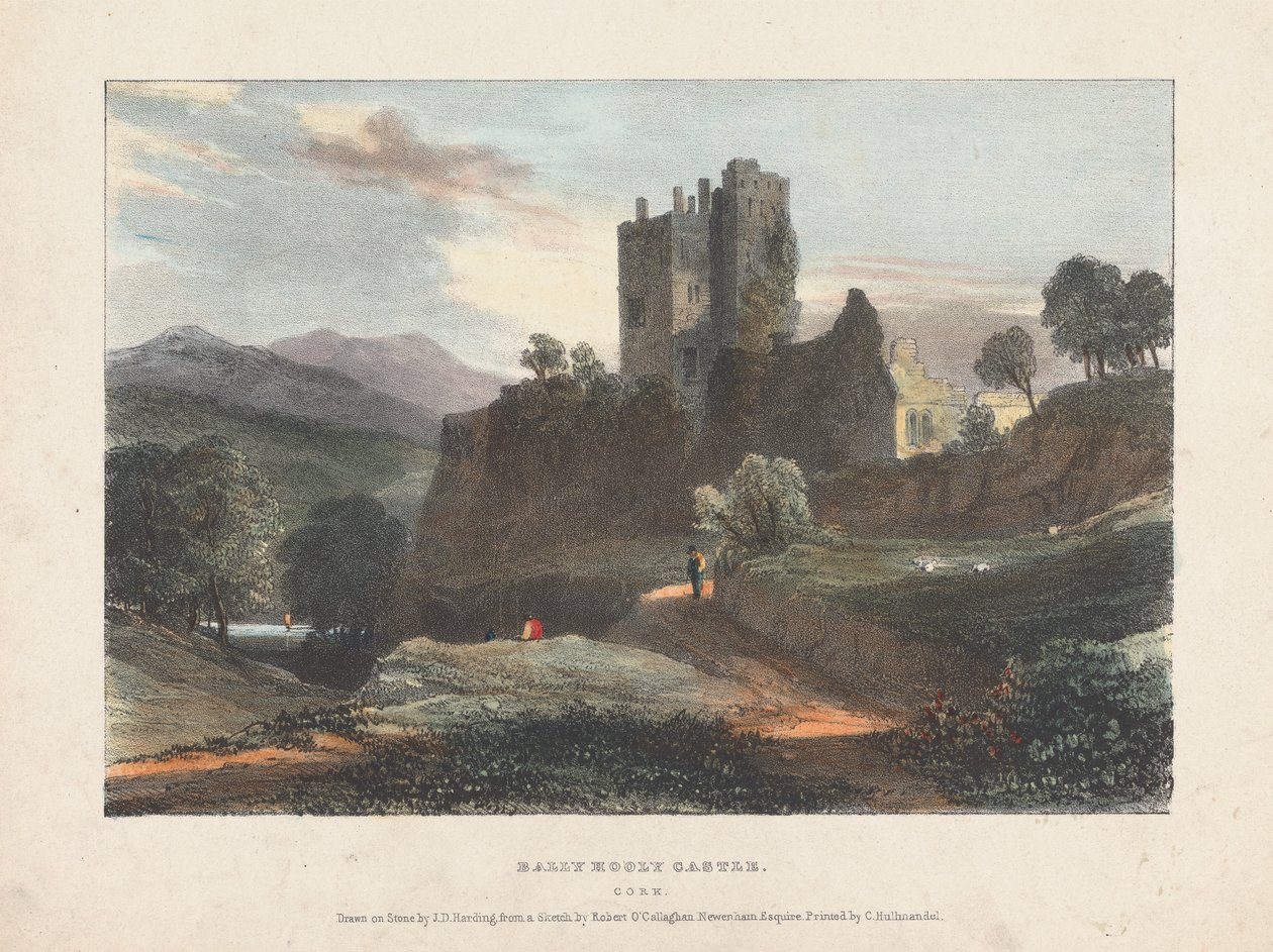 Dally Hooly Schloss von James Duffield Harding