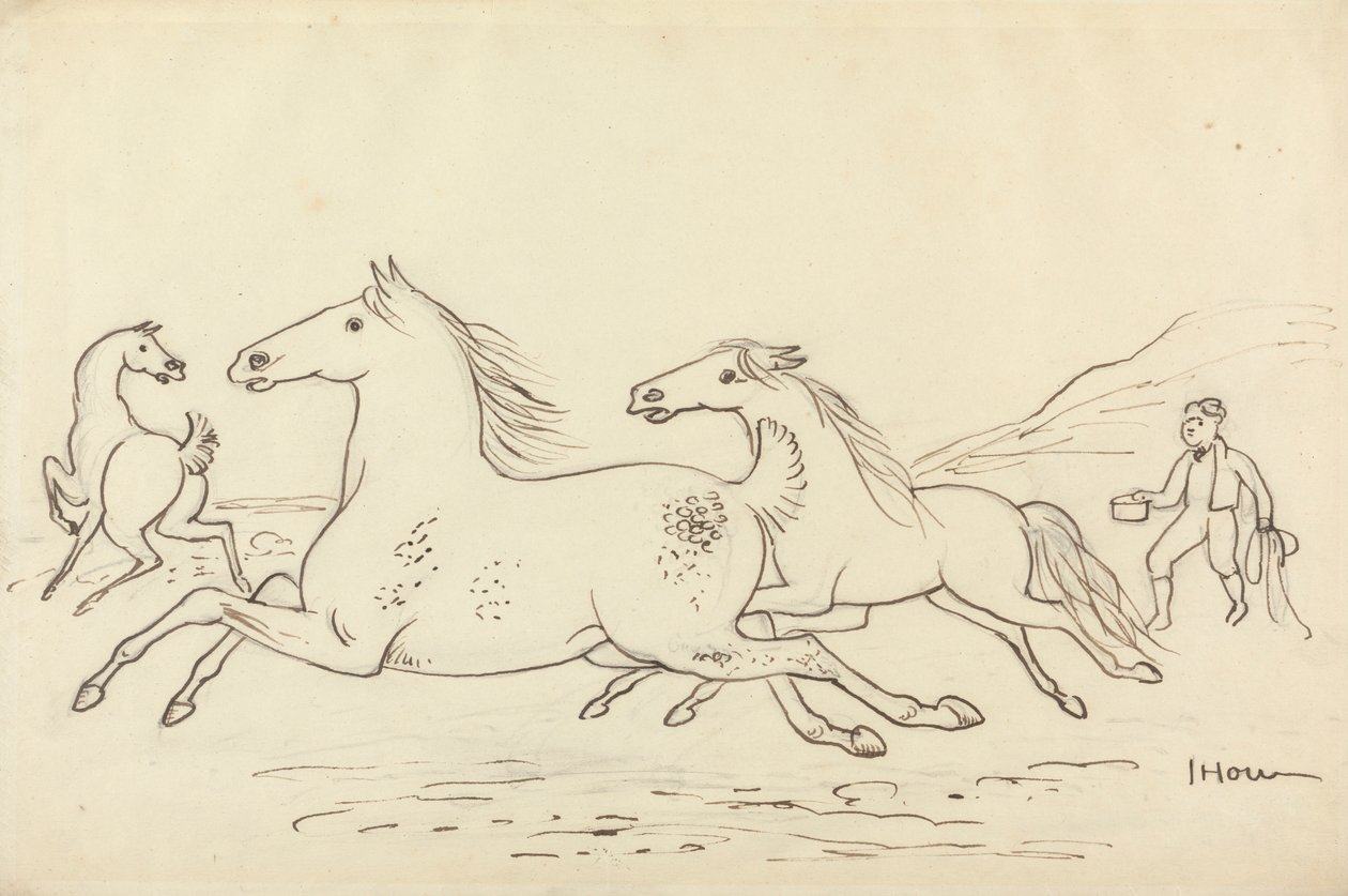 Drei Pferde und Stallbursche von James Howe