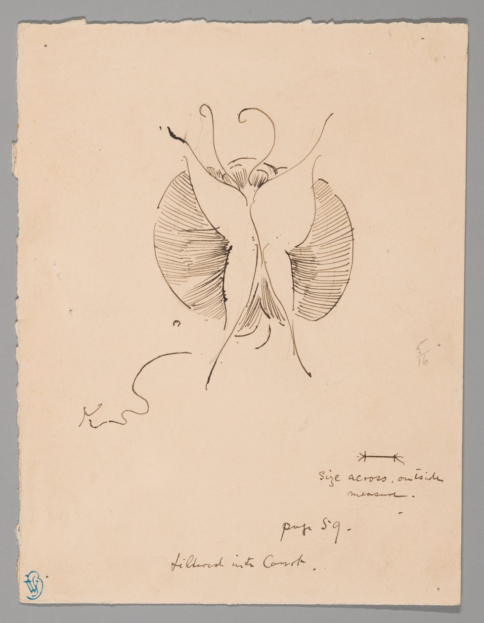 Schmetterling (recto); Fragment eines Schmetterlings (verso) von James McNeill Whistler
