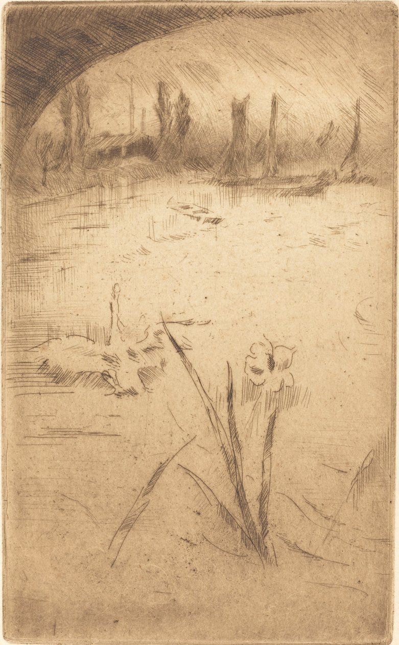 Schwan und Iris von James Abbott McNeill Whistler